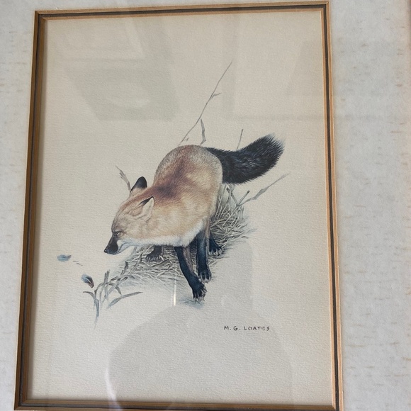 RED FOX ART Print by Glen Loates Canadian Wildlife Artist Vintage Framed - Picture 2 of 5